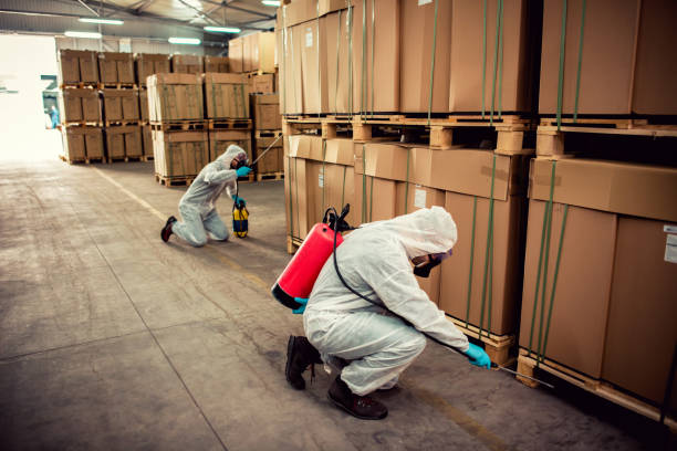 Best Pest Control for Restaurants  in Level Plains, AL