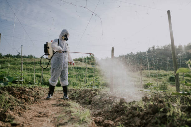 Pest Prevention Services in Level Plains, AL