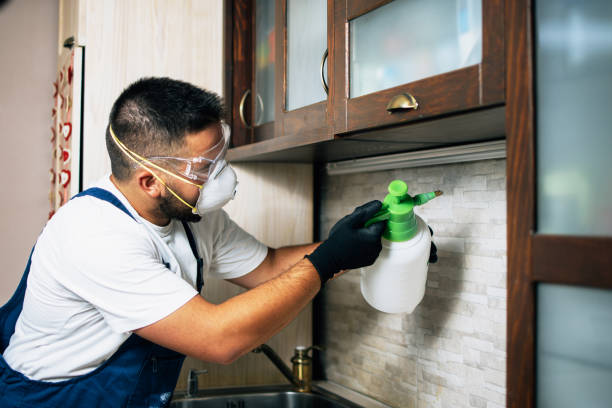 Best Commercial Pest Control Services  in Level Plains, AL