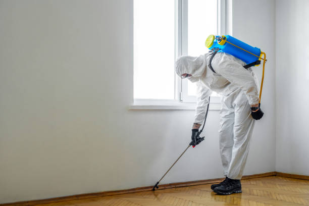 Pest Control Cost in Level Plains, AL