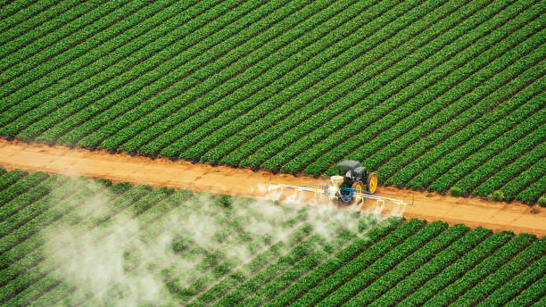 Best Residential Pest Control  in Level Plains, AL